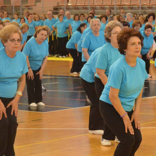 gym_mayores